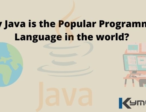 Why Java is the Popular Programming Language in the World?